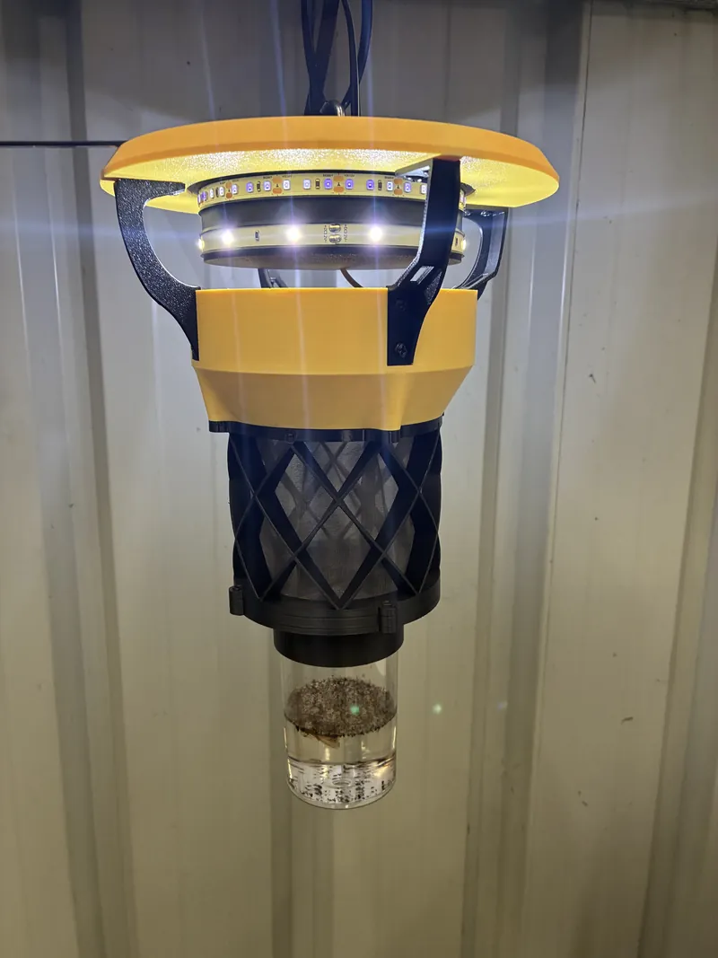 Tri-light trap full view